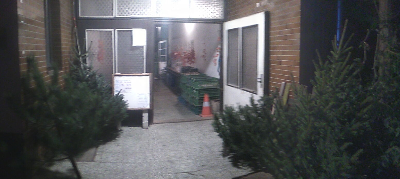 ve�ern� fotka dvora